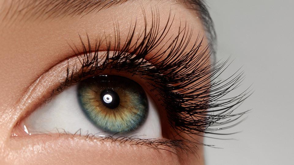 Pestañas y cejas